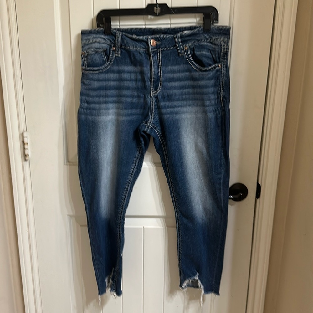 Daytrip Size 34 “Virgo” Ankle Skinny Jeans